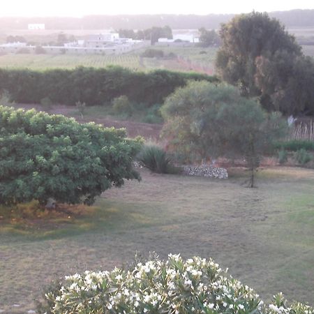 Dar Al Manar Hotell El Jadida Exteriör bild