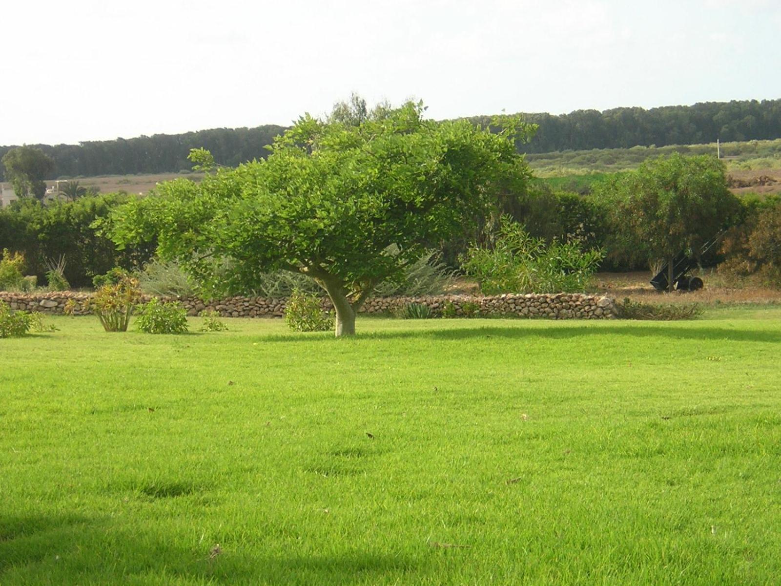 Dar Al Manar Hotell El Jadida Exteriör bild