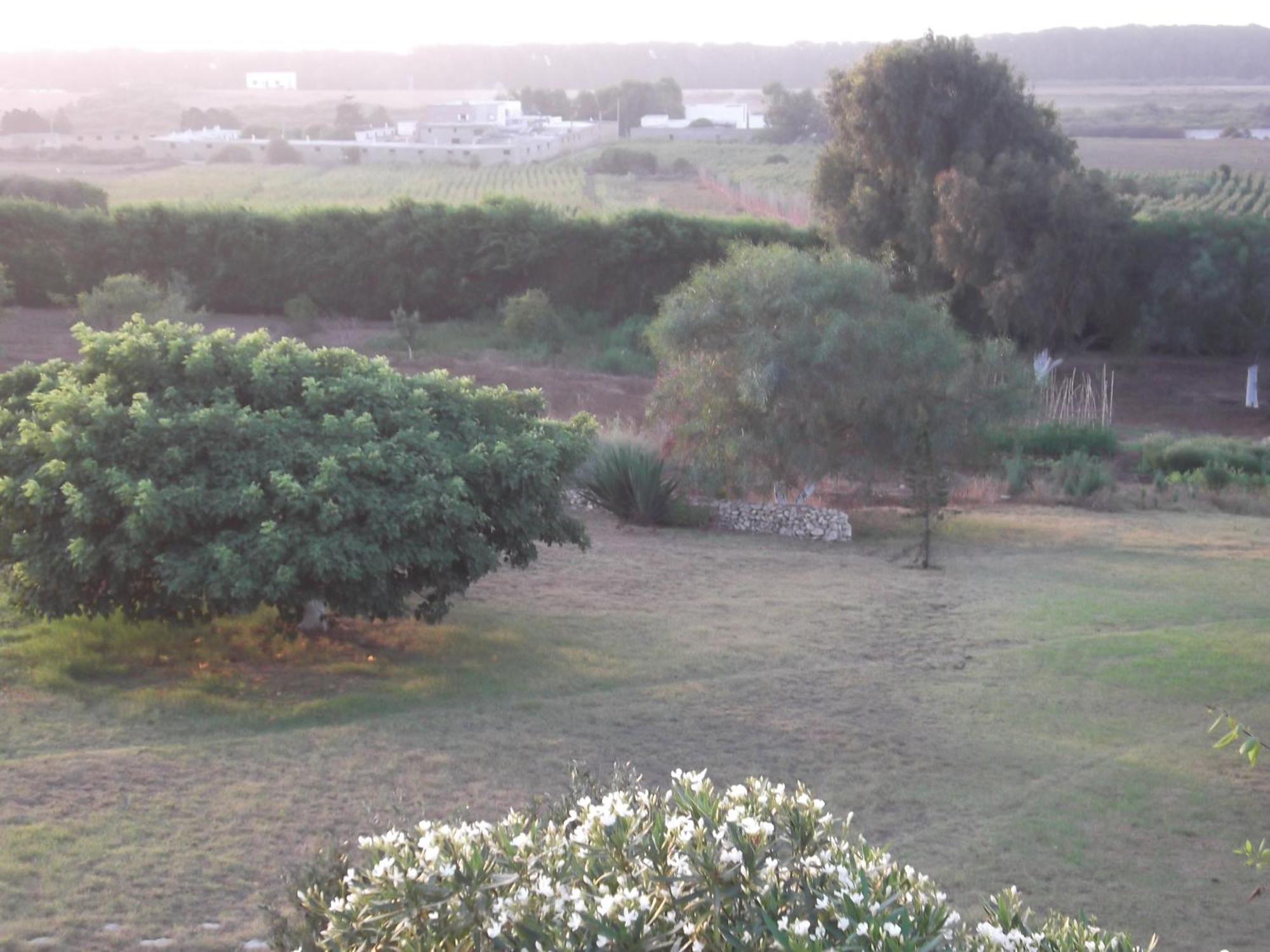 Dar Al Manar Hotell El Jadida Exteriör bild
