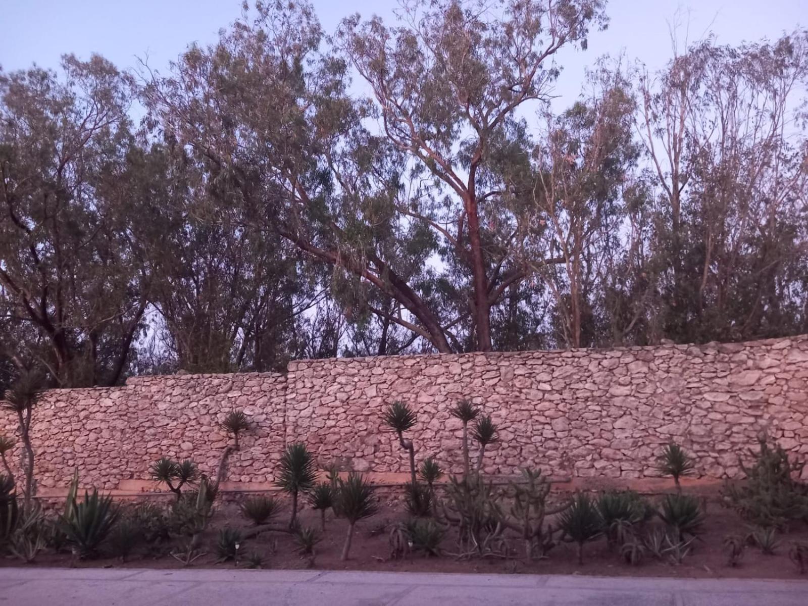 Dar Al Manar Hotell El Jadida Exteriör bild